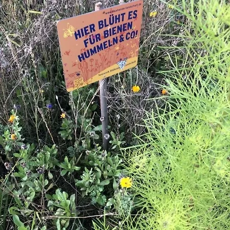 Mp 5 Meeresrauschen * Klutz